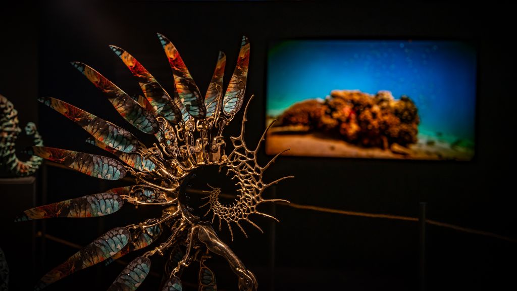 Strandingsmuseum St. George