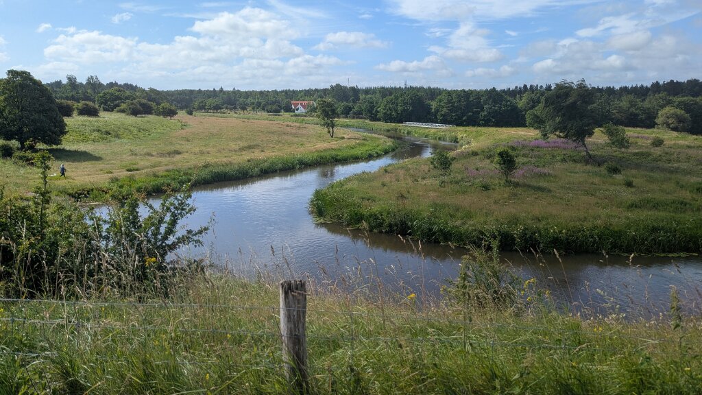 Blomster- og urtesti