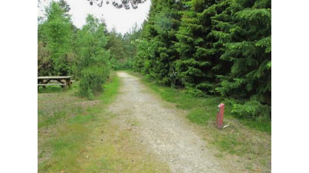 Handicapsti Nørhede Plantage