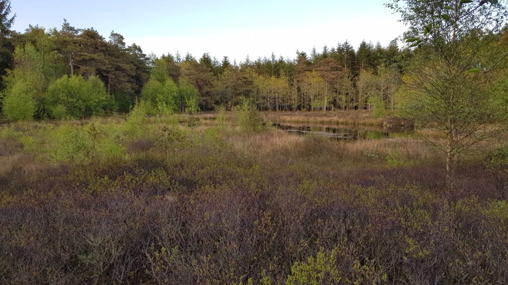 Skånsø ridesti
