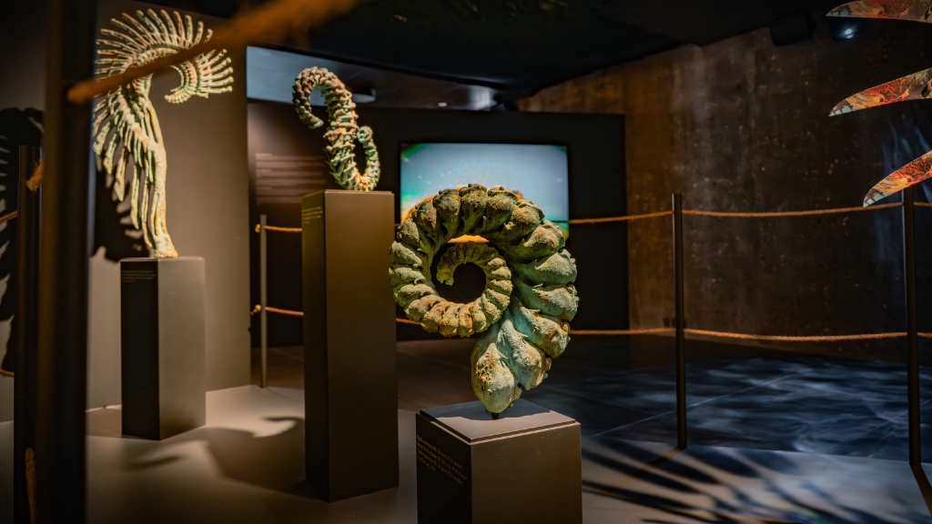 Strandingsmuseum St. George