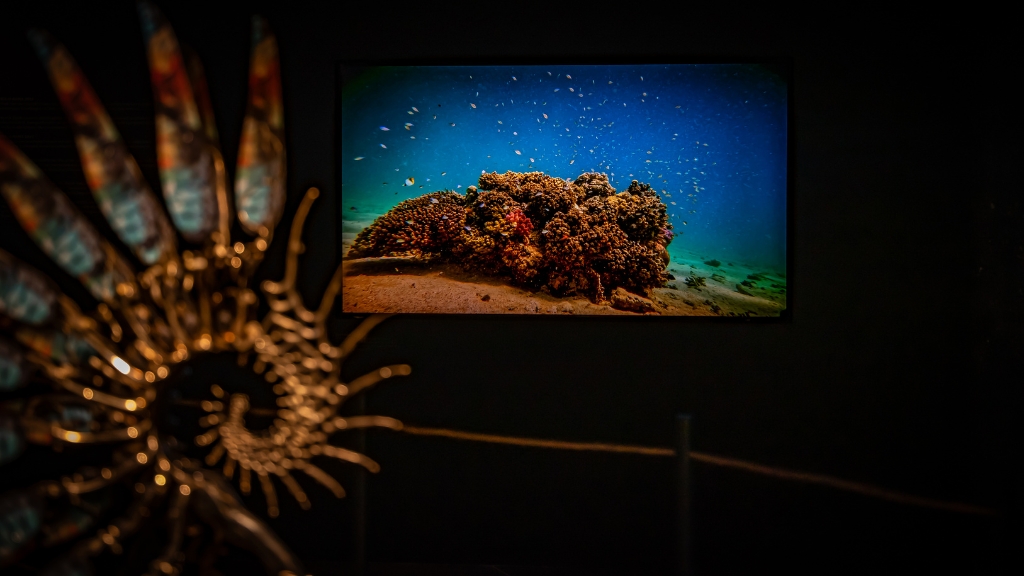 Strandingsmuseum St. George
