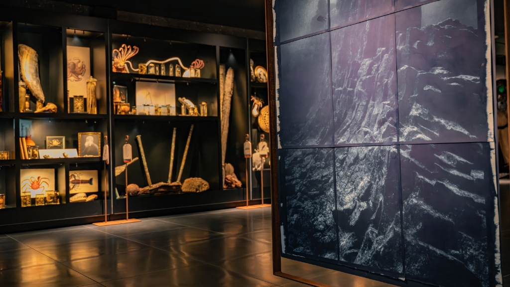 Strandingsmuseum St. George
