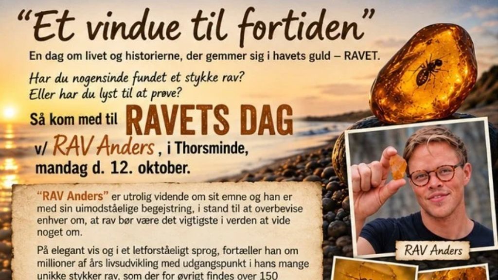 Plakat om ravets dag i Thorsminde med Rav Anders