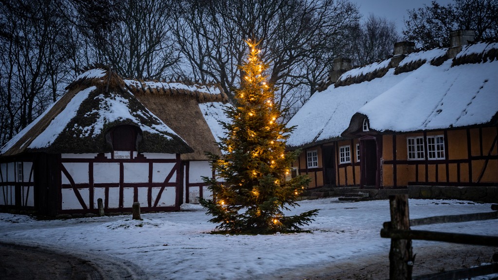 Pyntet juletræ på Frilandsmuseet Hjerl Hede, hvor julevandringen Lyset finder sted.