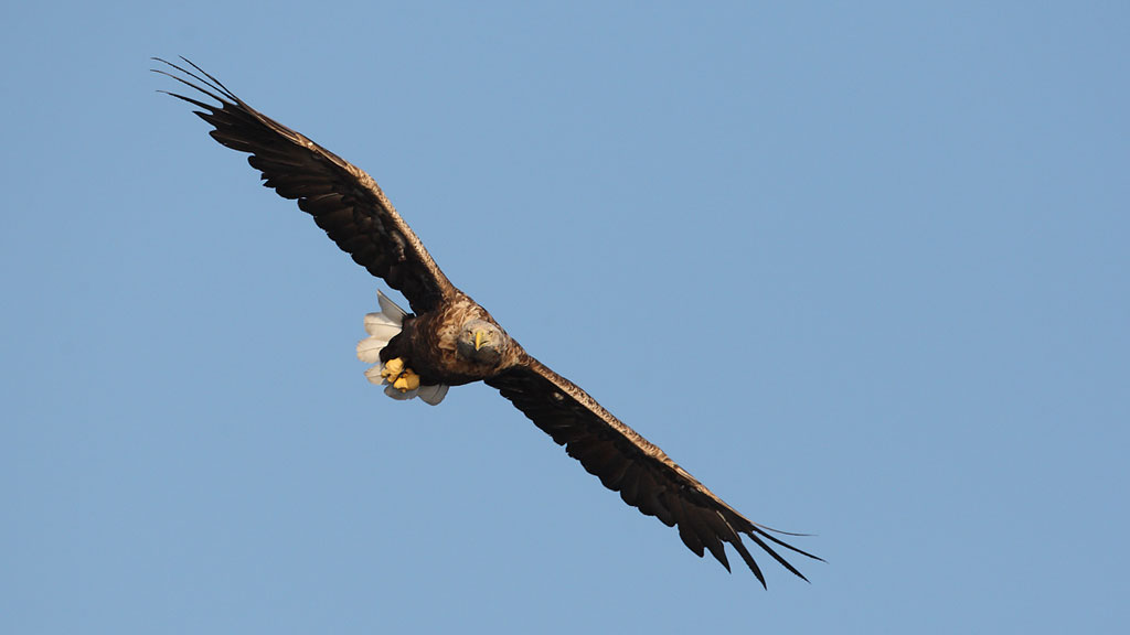 InfoCenter Lille Vildmose