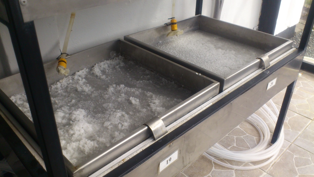 Blokhus Salt Interiør
