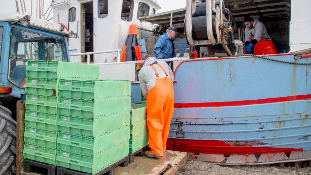 Thorupstrand Fiskehus