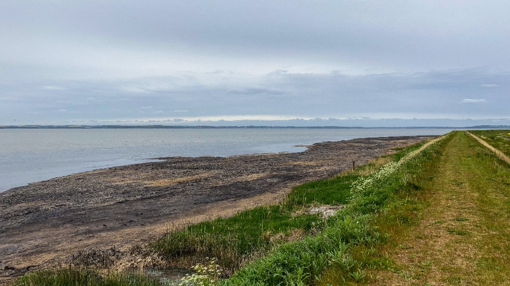 Øland diget