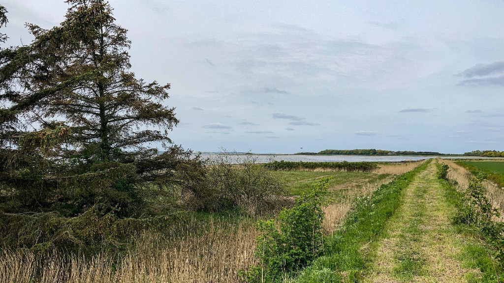 Øland diget