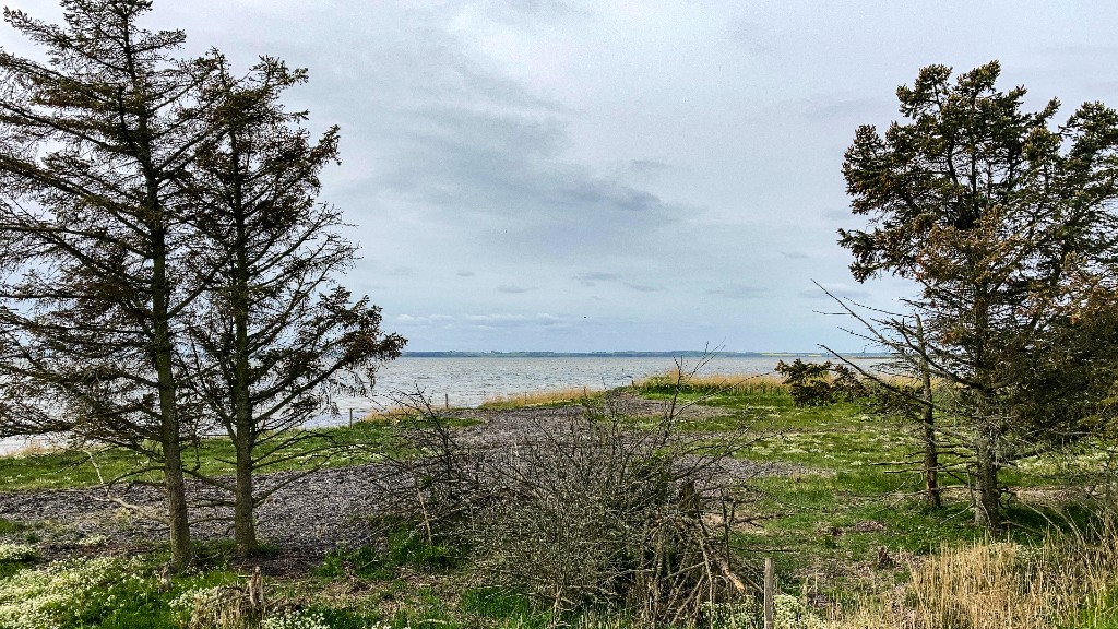 Udsigt til Limfjorden