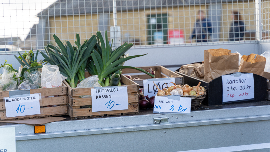 Hook & Cook - Kutterfestival in Thorupstrand am 6. September 2025
