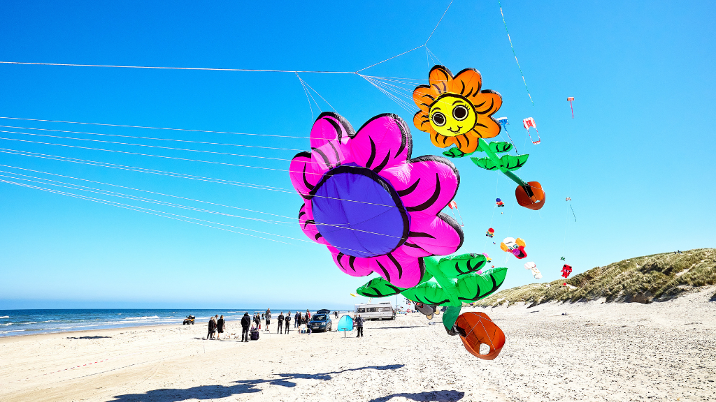 Blokhus Wind Festival