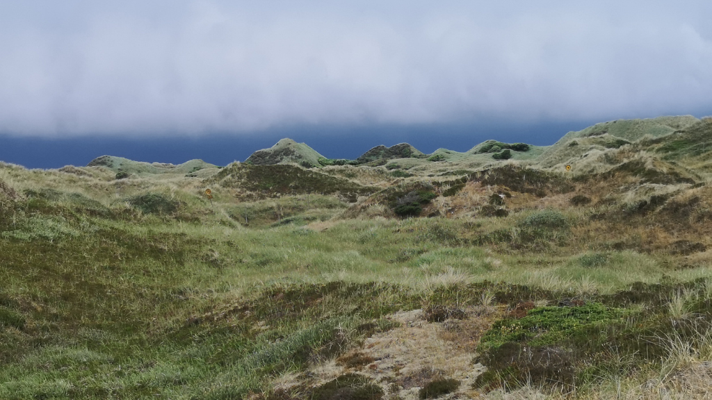Rødhus Klit Camping