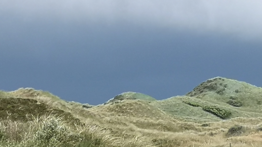 Rødhus Klit Camping