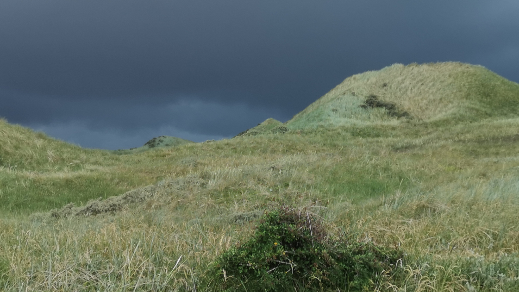 Rødhus Klit Camping