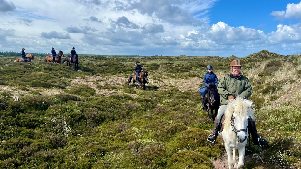 Rødhus Klit Camping