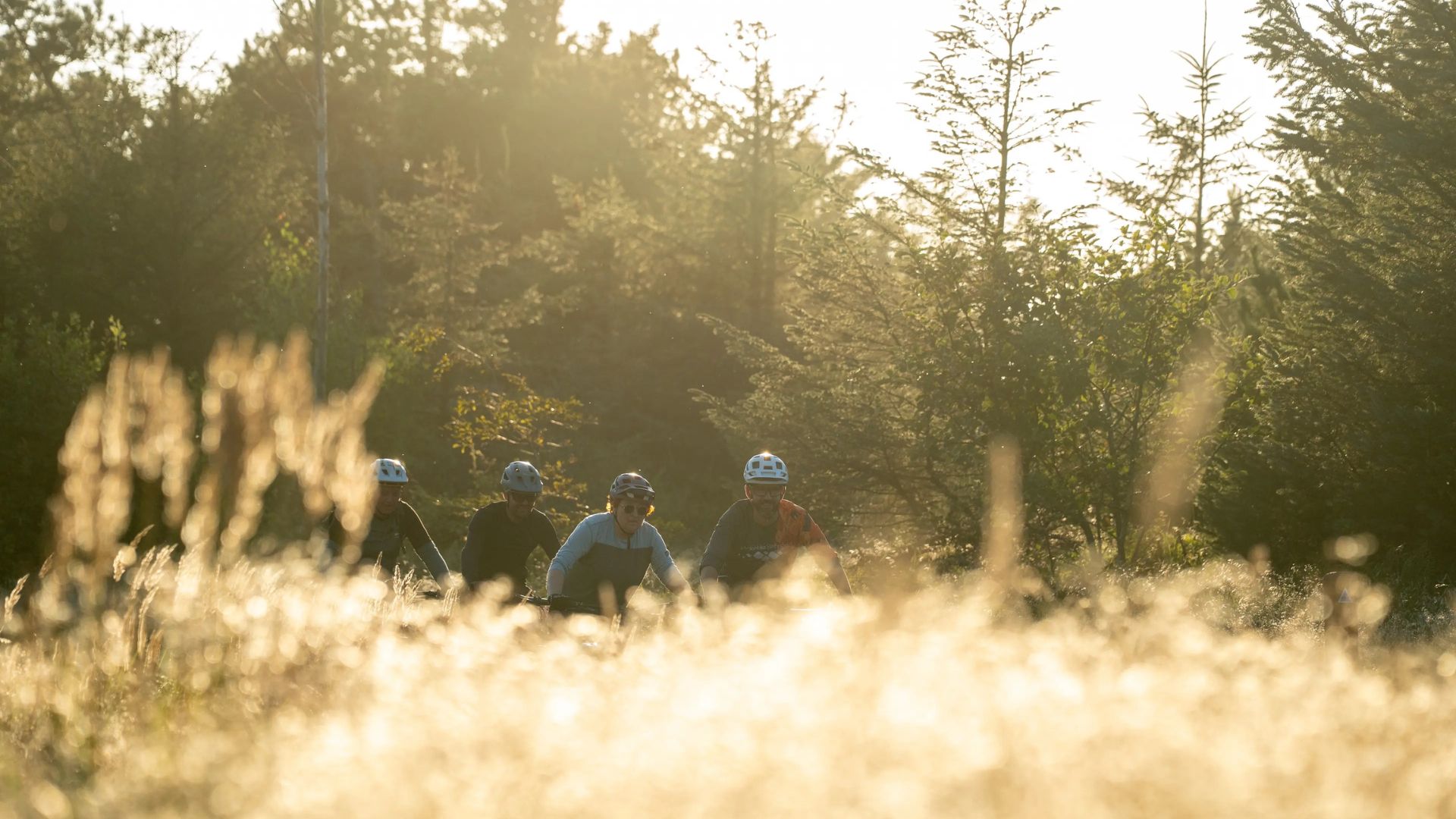 MTB-Technik & geführte Tour – blaue Trails