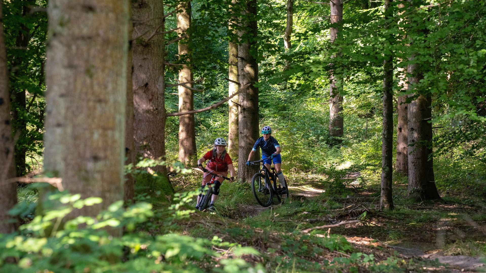 MTB-Technik & geführte Tour – blaue Trails 3