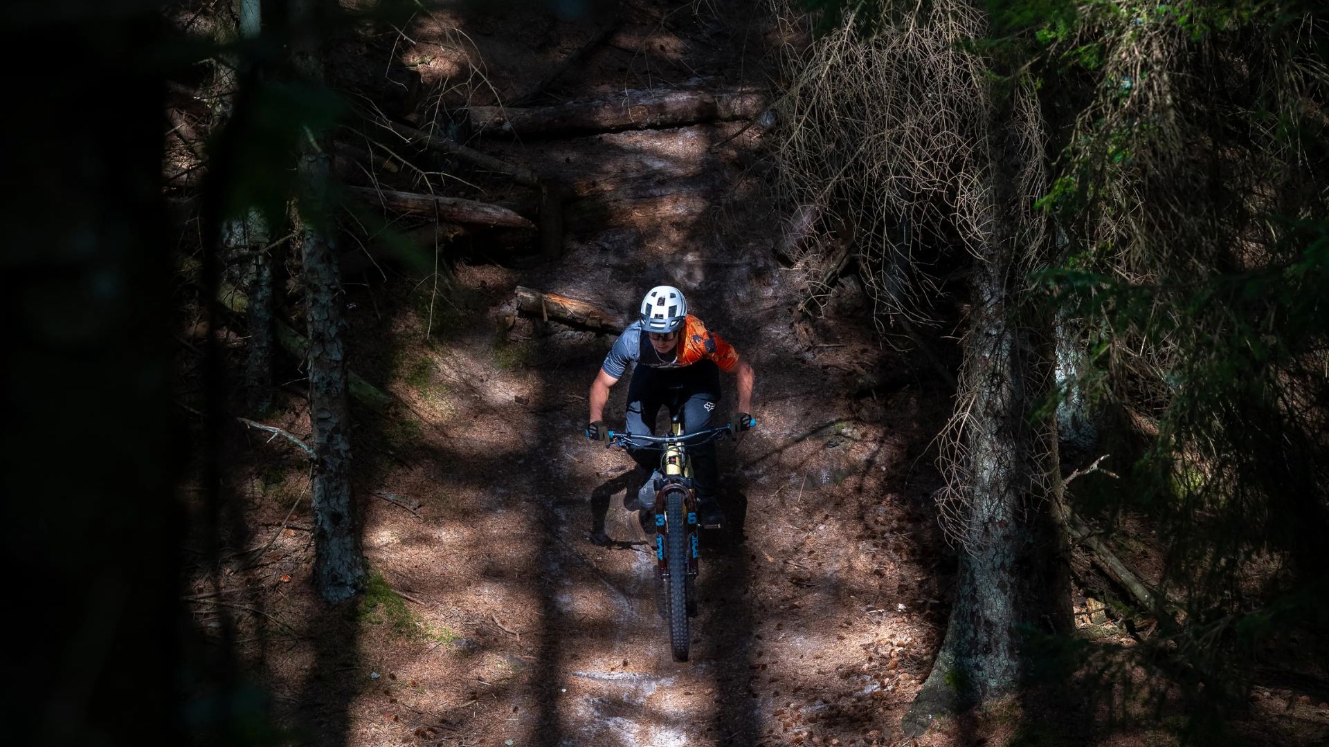 MTB technique & guided tour – red/black trail 4