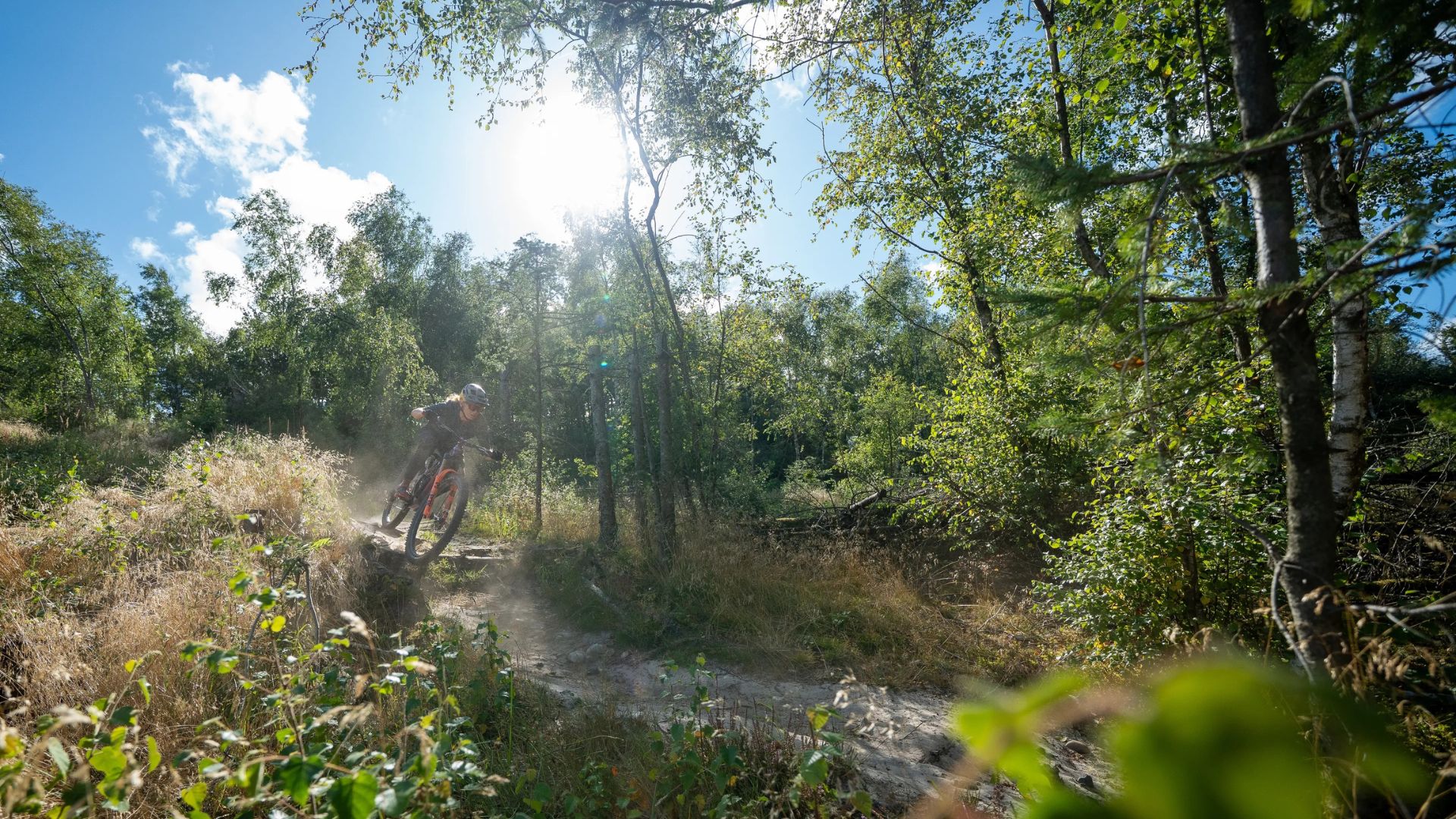 MTB technique & guided tour – red/black trail