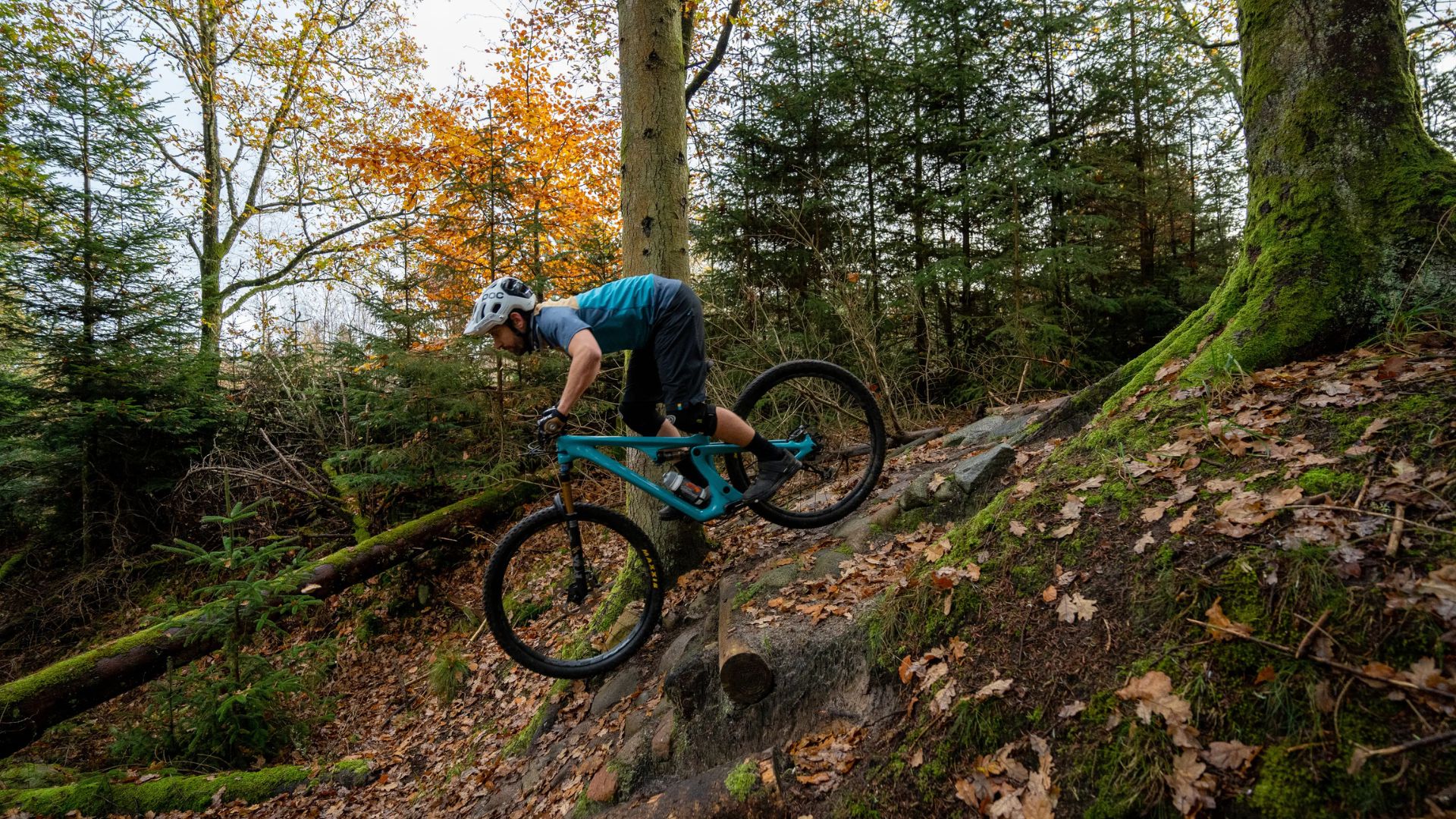 MTB technique & guided tour – red/black trail 2