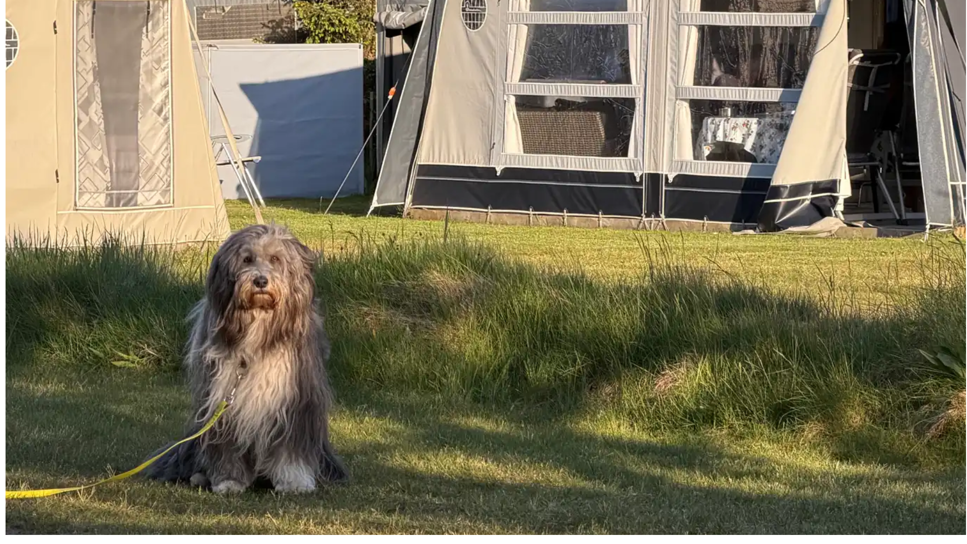 blokhus by camping