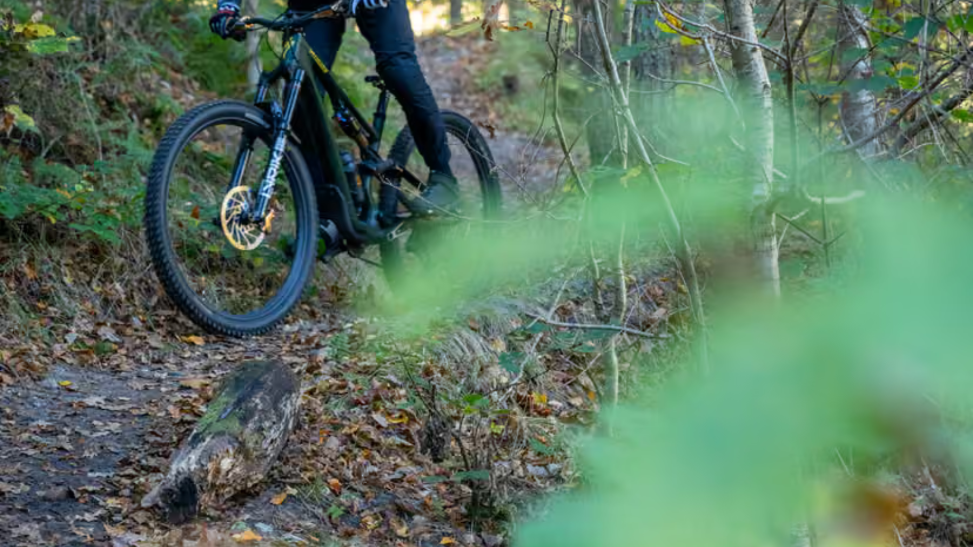 Trail2