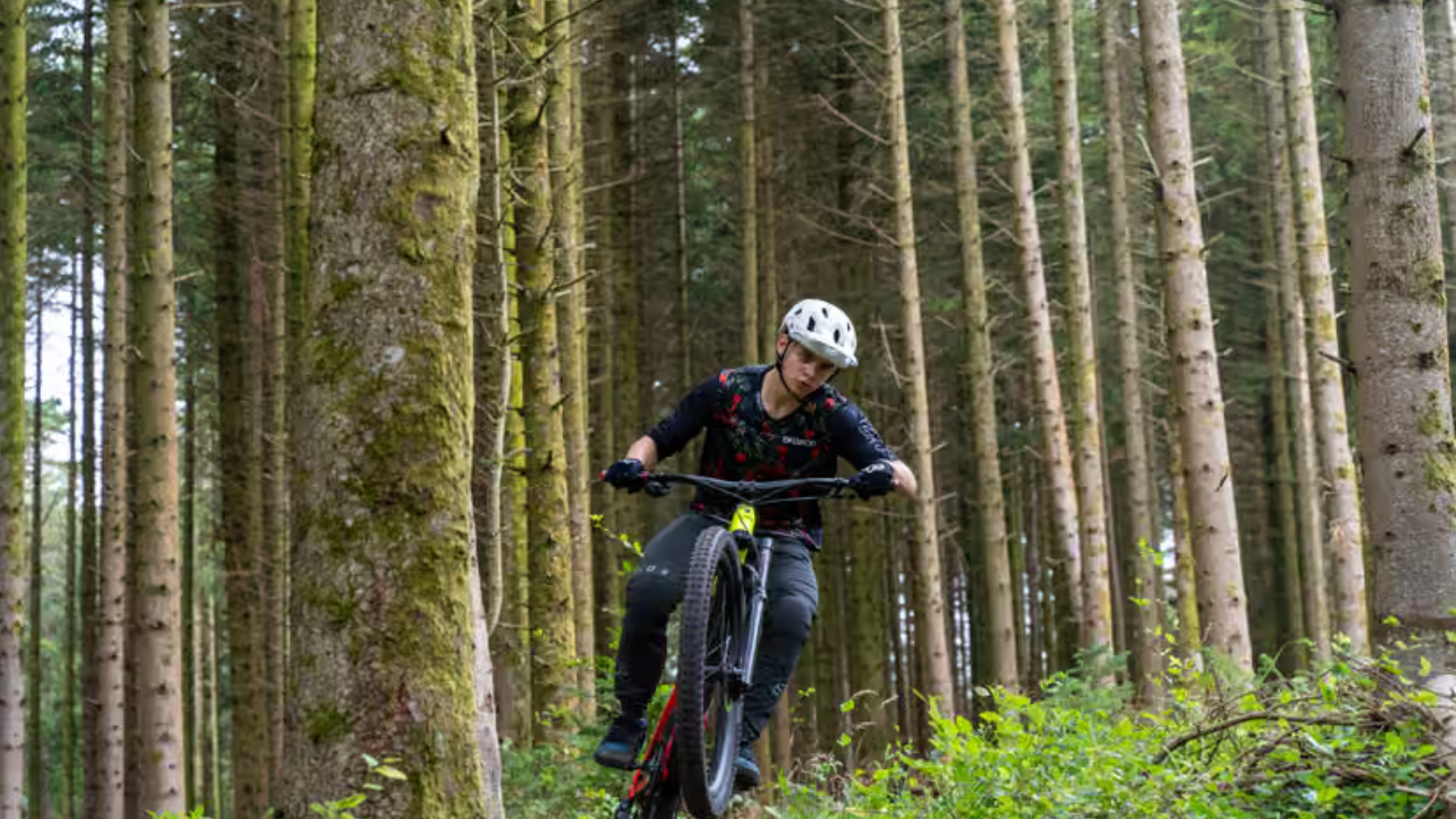 Trail3