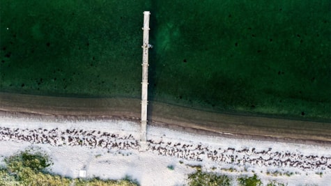 Зображення дрона пляжу Кіркхольм