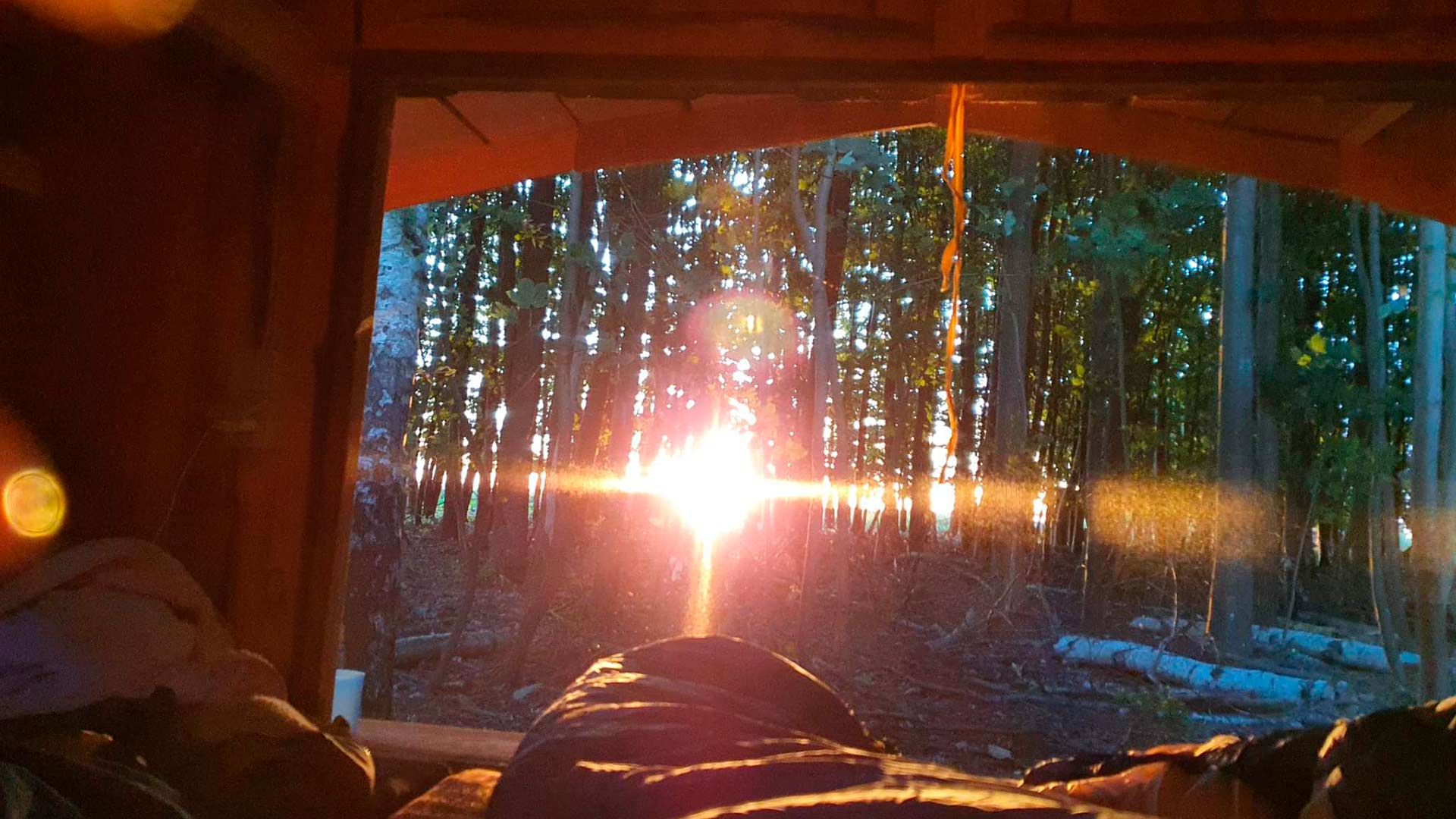 Møllegårdens Shelterplads