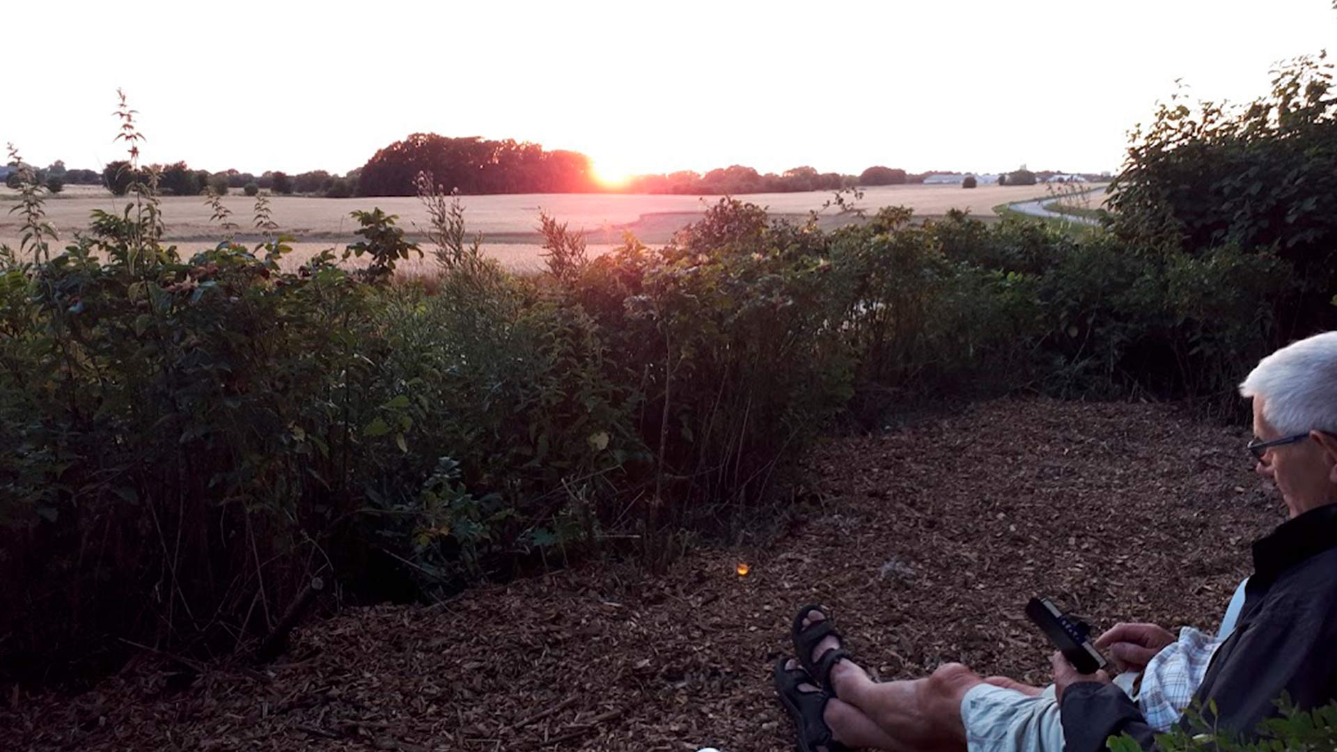 Møllegårdens Shelterplads