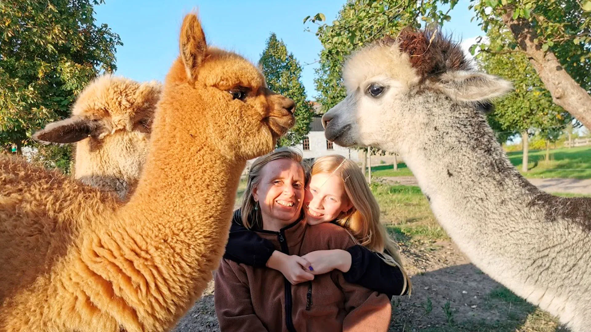 AlpacaPark - En fantastisk oplevelse i hjertet af Sjælland