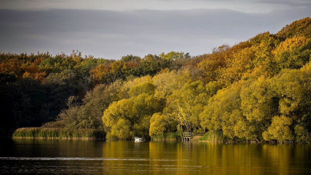 Efterår ved Skarresø af Michael Knøfler