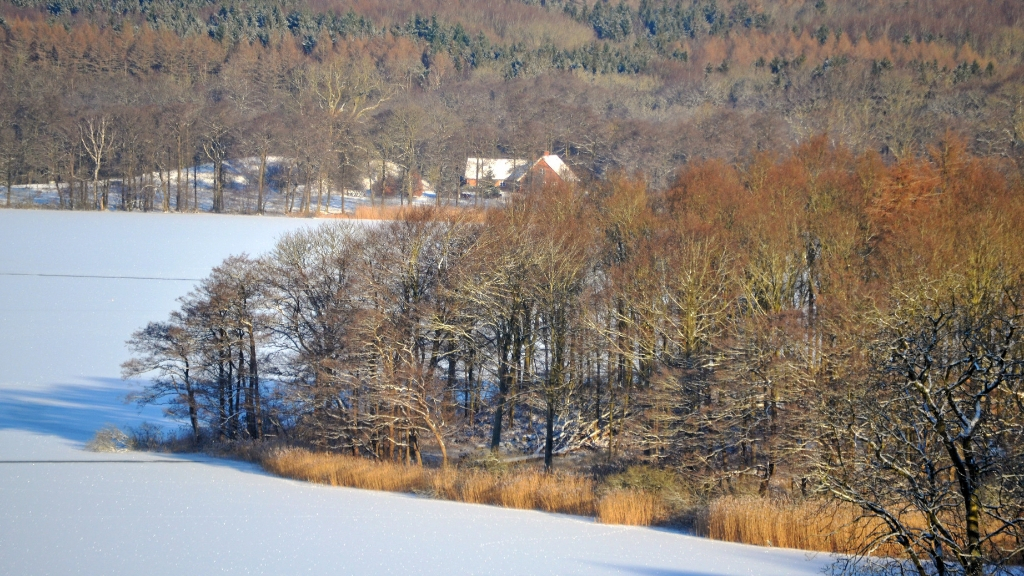 Vinter ved Skarresø