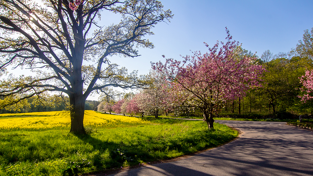 The cycling and hiking trip Jyderupstien