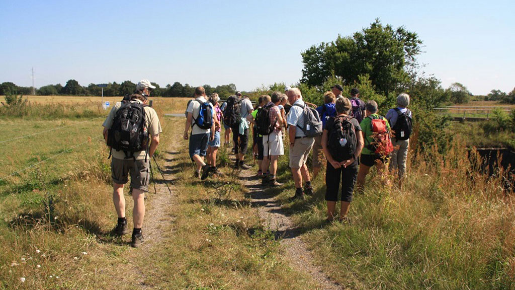 Vandretur i Naturpark Åmosen ved Åmosenaturcamp