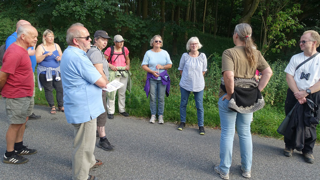 Guidet tur i Åmosenaturcamp