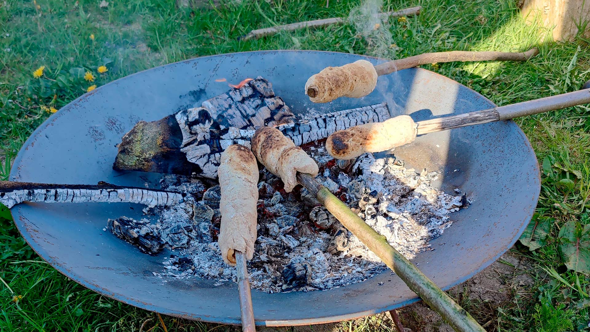 Alpacapark – flere alpacaer på en grøn mark omgivet af træer