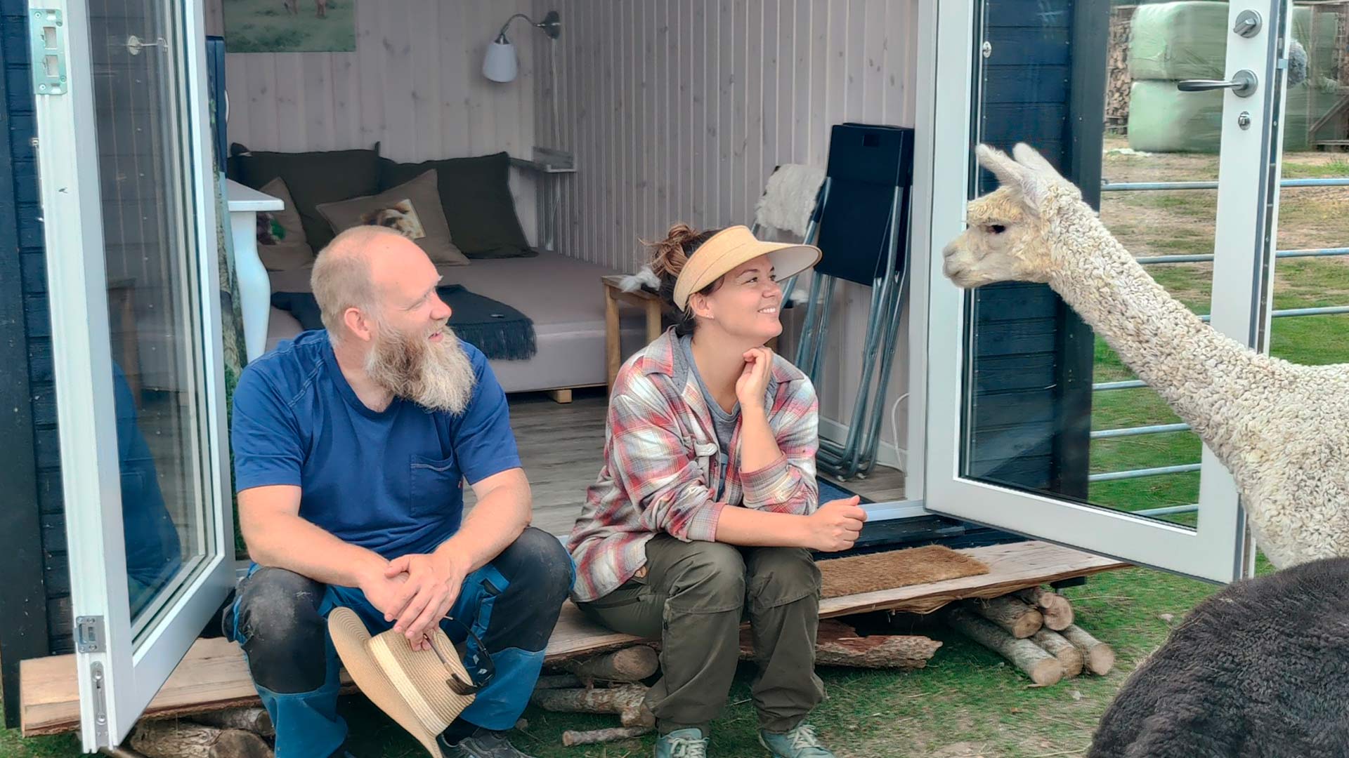 Overnat i et tinyhouse omgivet af dine egne alpacaer, som du kan hænge ud med.