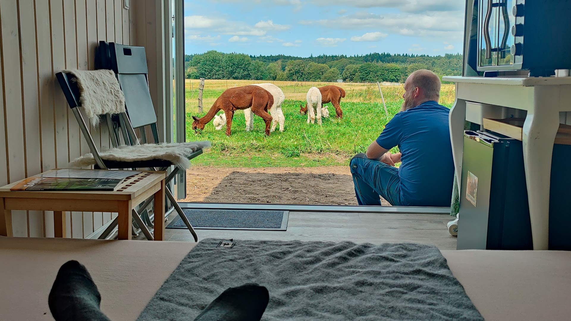 Overnat i et tinyhouse omgivet af dine egne alpacaer, som du kan hænge ud med.