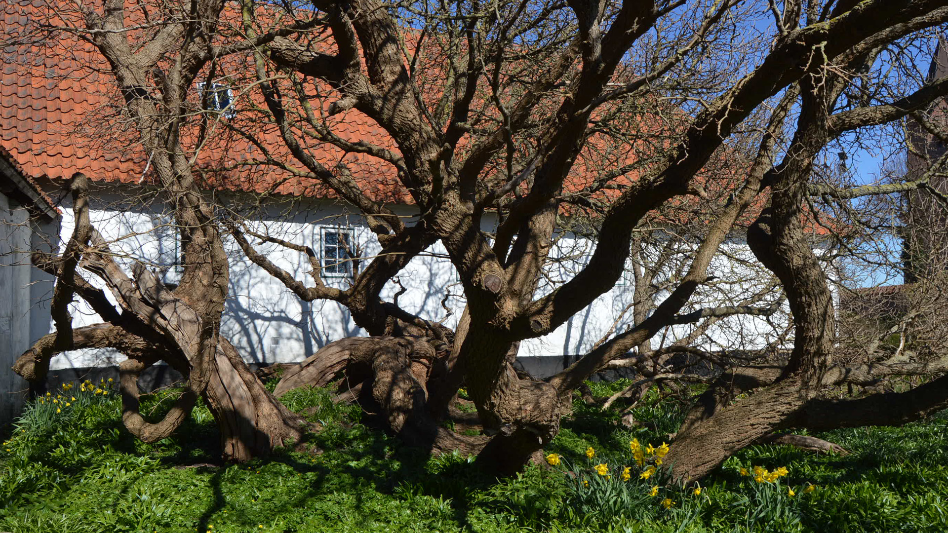 Museum Vestsjælland
