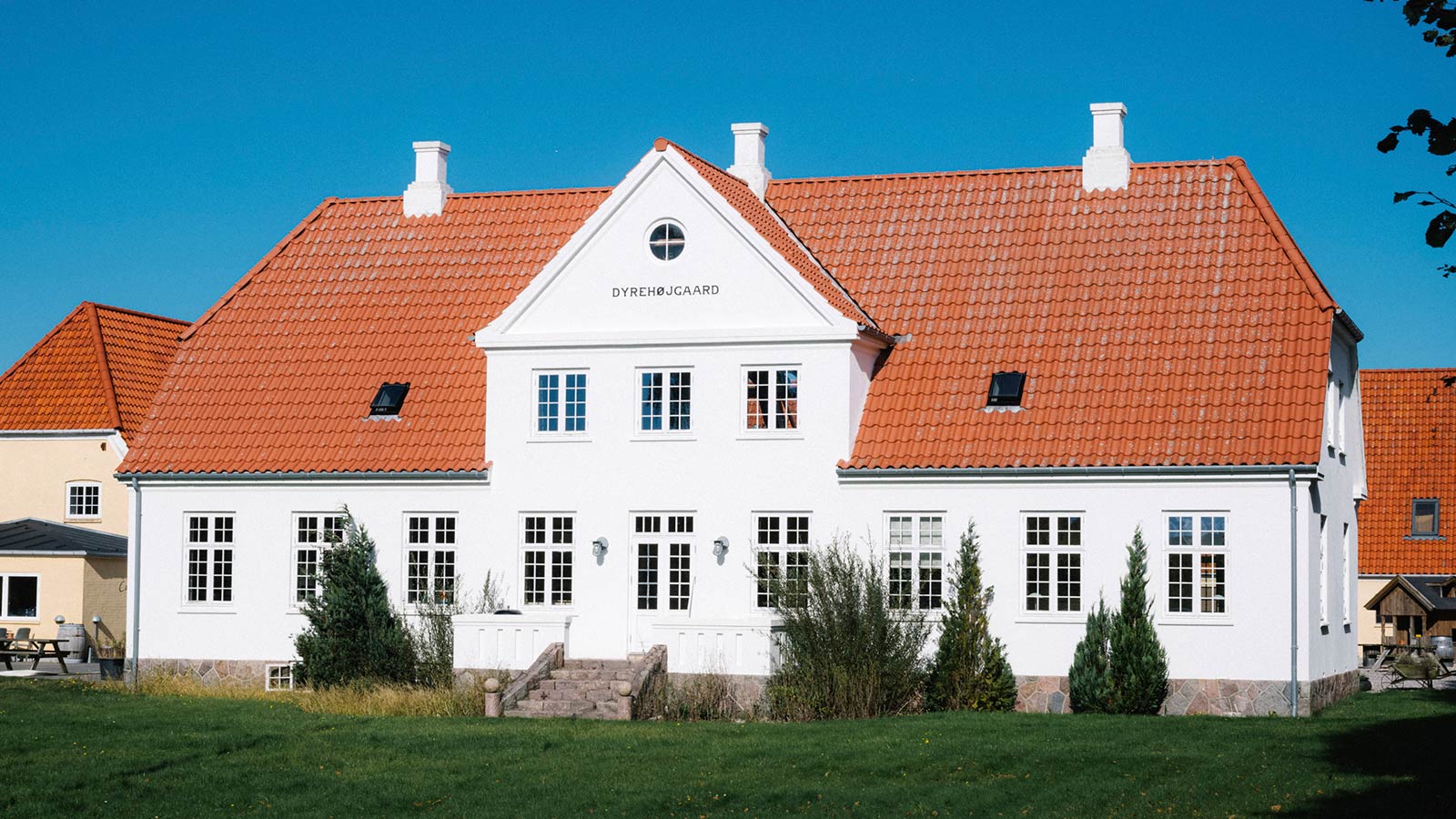 Dyrehøj Vingaard vineyard with rolling vines and views across Sejerø Bay near Kalundborg, Denmark.