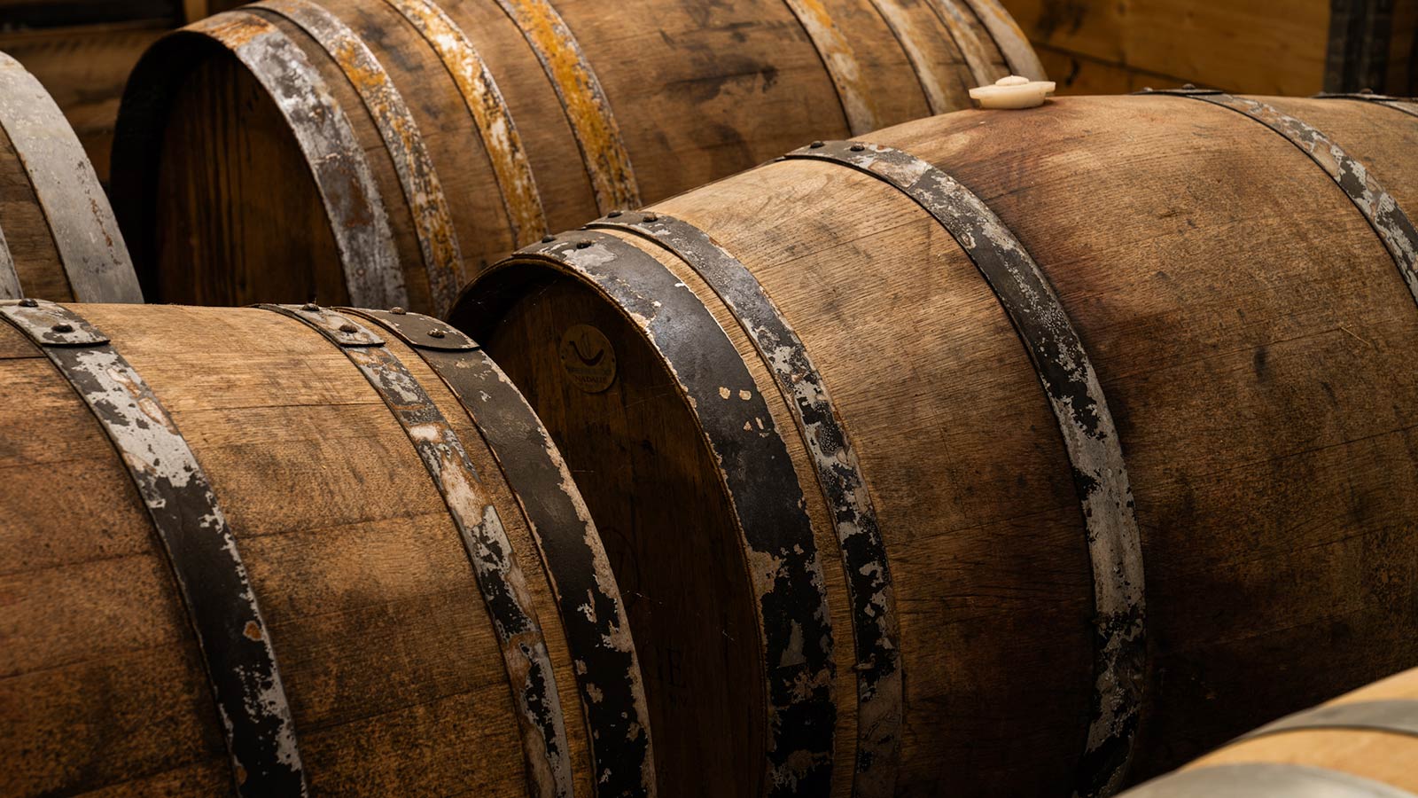 Dyrehøj Vingaard vineyard with rolling vines and views across Sejerø Bay near Kalundborg, Denmark.