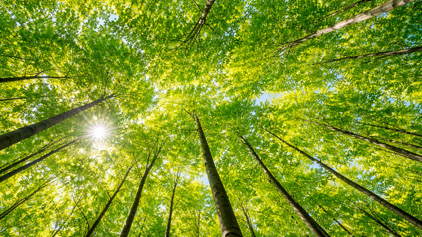 Destination Sjælland