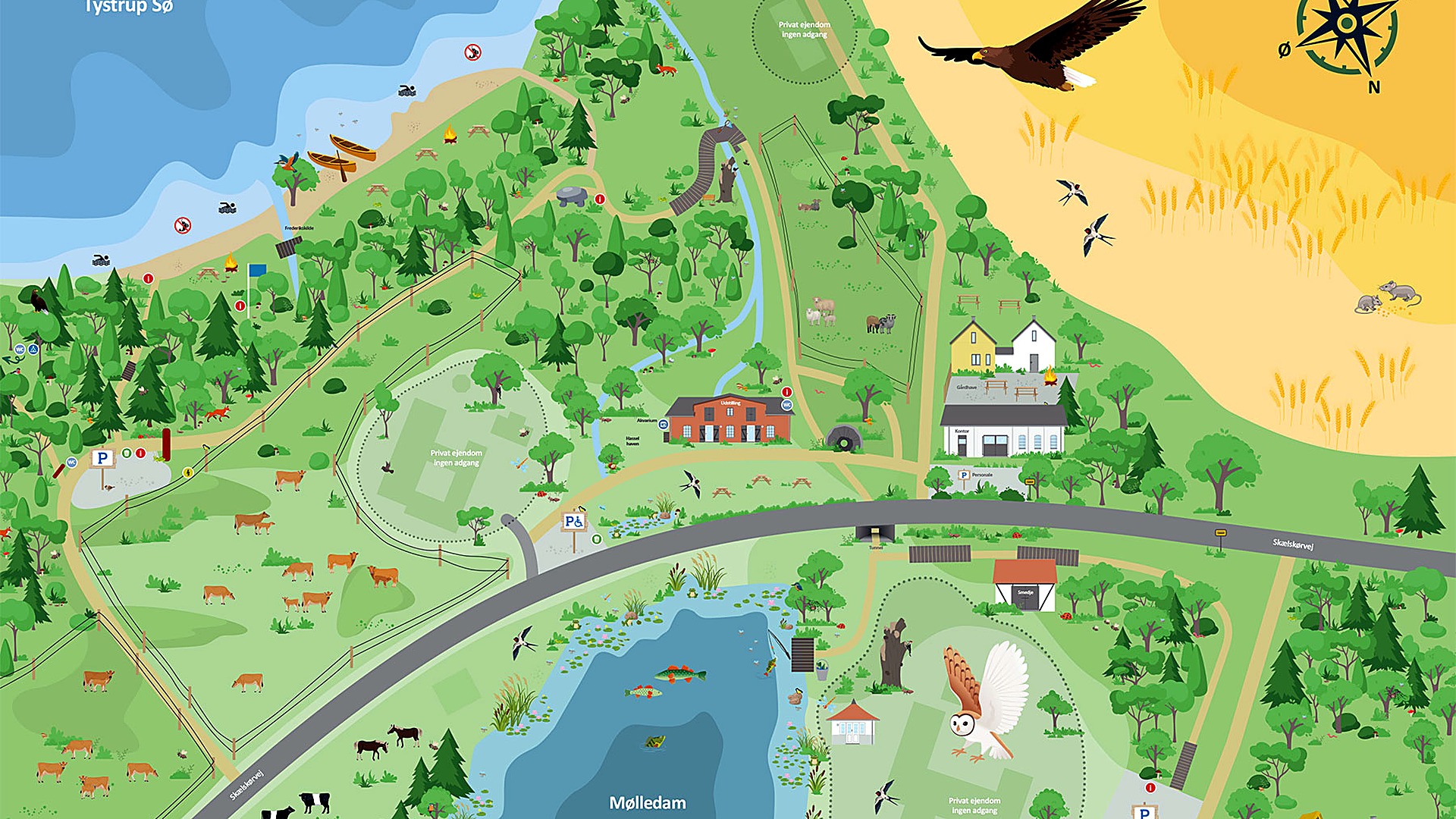 Illustreret oversigtskort over Kongskilde Naturcenter-området med Tystrup Sø, Mølledam, stier, shelterplads og parkering.