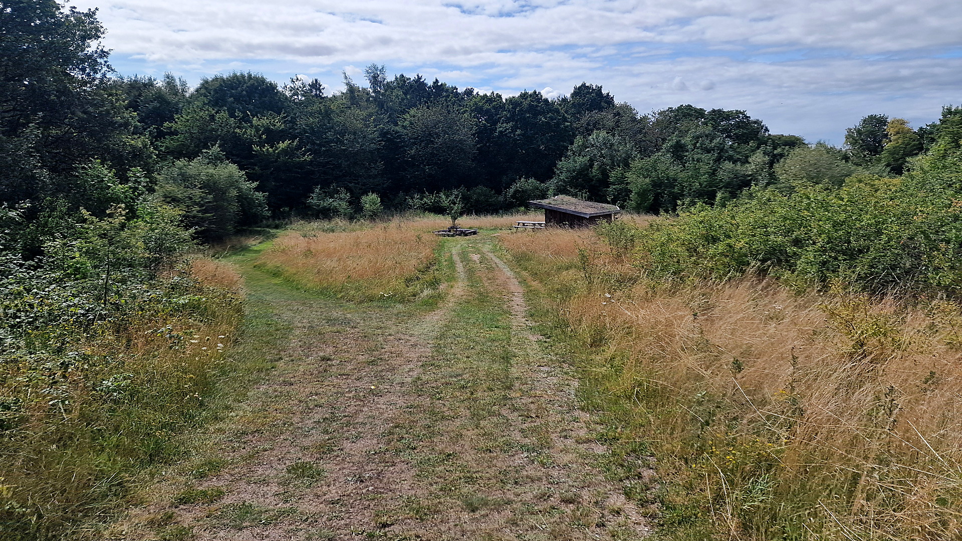 Grassy access track through tall summer grass leading to the shelter and fire pit at Skellingsted outdoor area near Mørkøv.