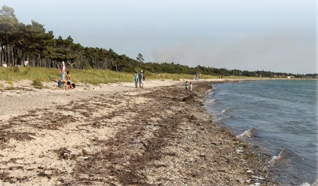 Bildsø Strand