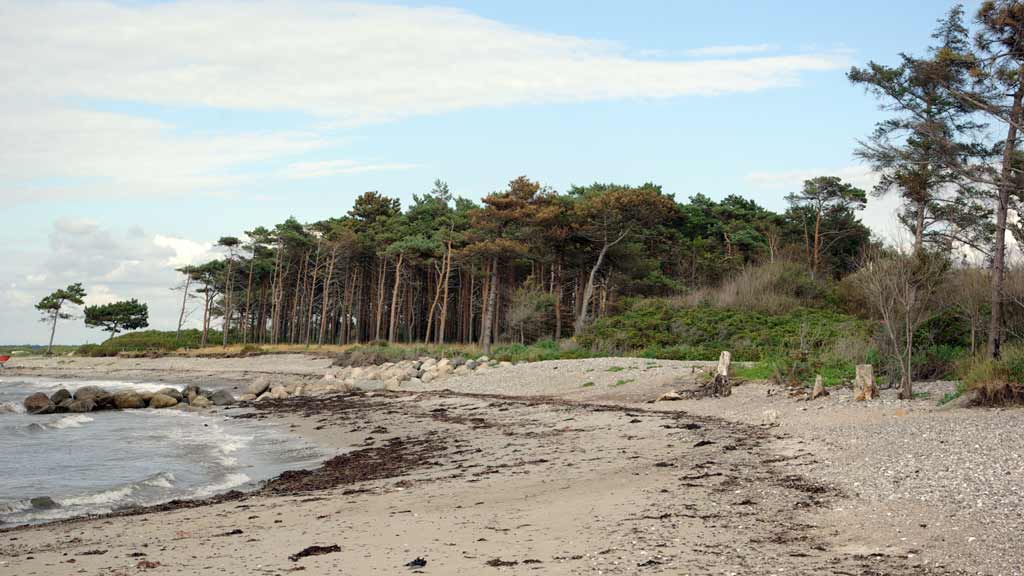 Vandretur på Reersø