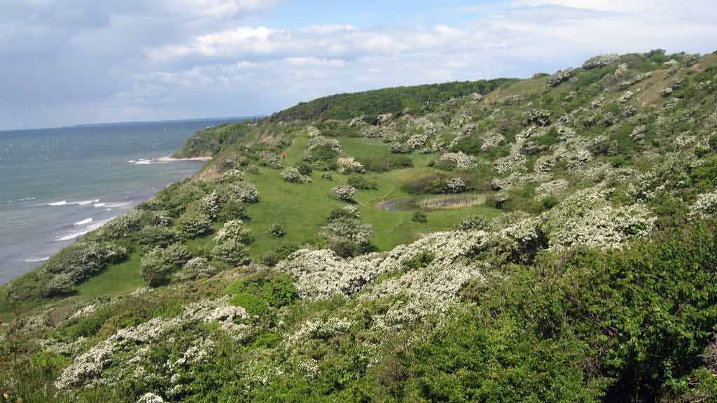 Vindekilde ved Røsnæs, Vestsjælland